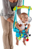 Spine-Supporting Secure Baby Door Bouncer Swing Seat with Detachable Toys