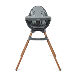 5-in-1 Grow-with-me Baby High Chair | 5-Point Harness | Booster Seat | Low Chair | Graphite Grey | 6m - 5 Years