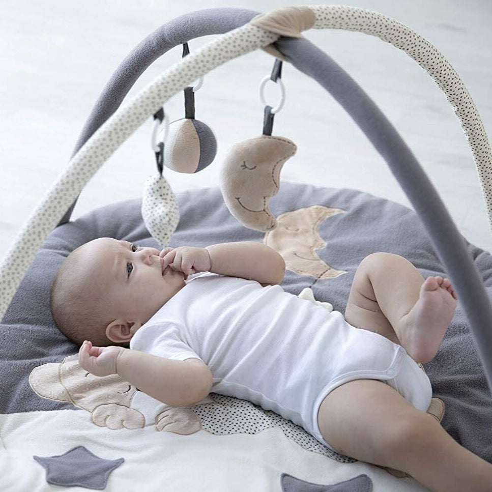 Multipurpose Baby Play Gym with Sensory Toys and Carry Bag – www