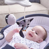The Baby Bouncer takes you from playing to napping with one click!