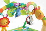 Deluxe newborn baby play mat with 10+ toys and activities and a removable, take-along toucan with music and dancing lights