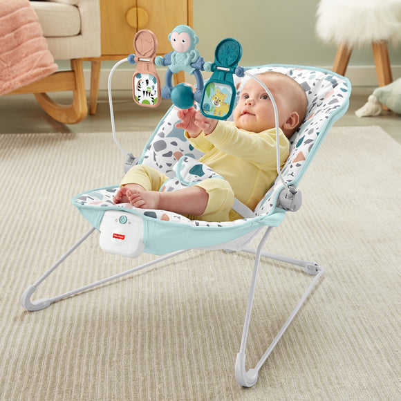 This Fisher Price Baby Bouncer gently bounces to your little one's natural movements and features calming vibrations