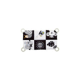 Includes prop pillow and mirror for tummy time fun.