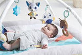 Equipped with a plush musical toy and light show toy