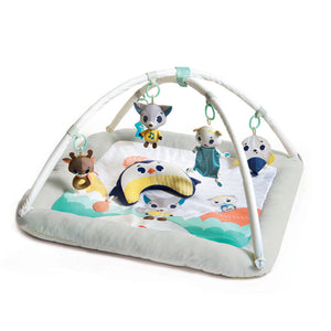 The Plush 'Winter Wonderland' activity baby mat takes you among the snowy hills into the arctic landscapes.