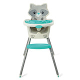 5-in-1 Grow-with-Me Reclining Baby High Chair, Low Chair & Booster Seat for Chairs | Racoon